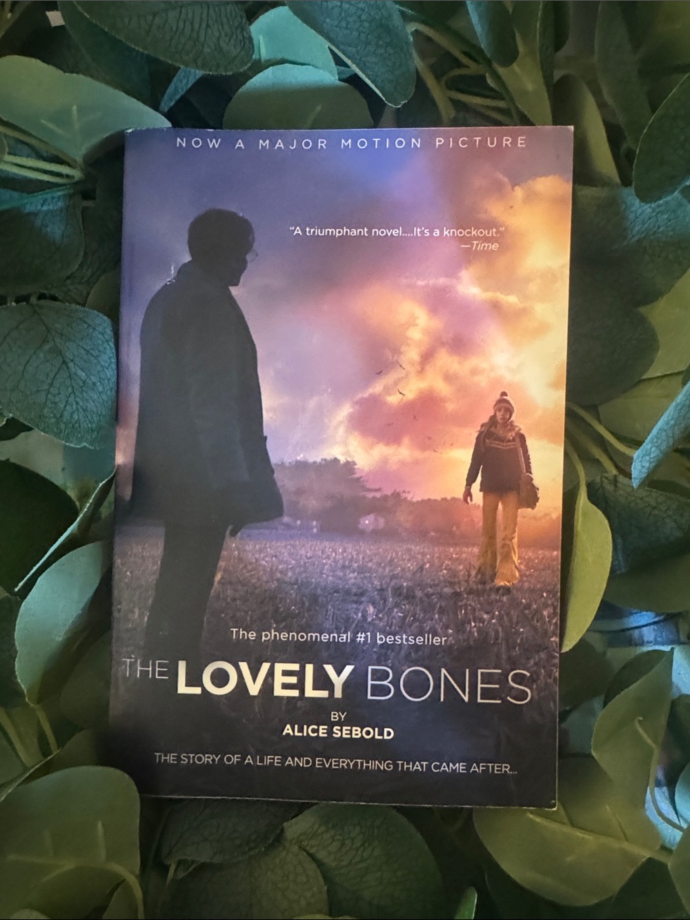 The Lovely Bones by Alice Sebold